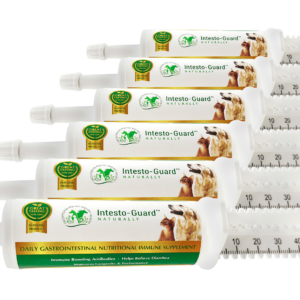 Intesto–Guard™ 60cc Probiotic Paste for Pets (Case of 6)