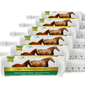 Intesto-Guard™ Equine 60cc Probiotic Paste (Case of 6)