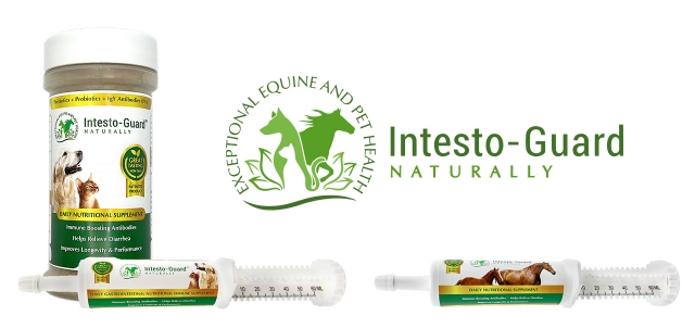Intesto-Guard™ Earns Patent Approval on Proven, Vet-Curated Formulas